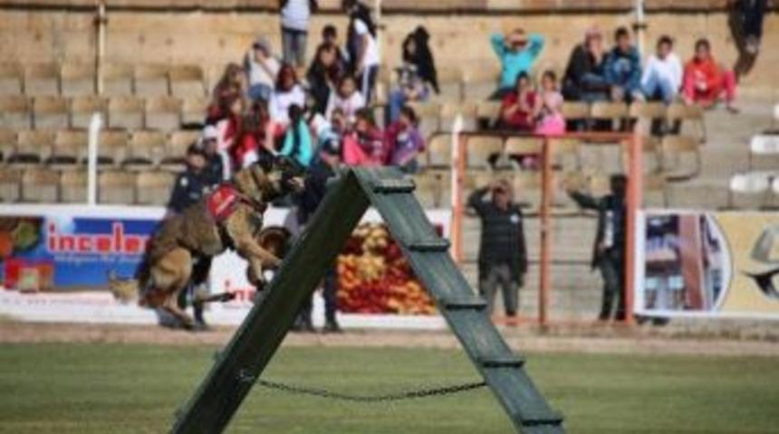 Cumhuriyet Bayramı Nevşehir'de Coşkuyla Kutlandı