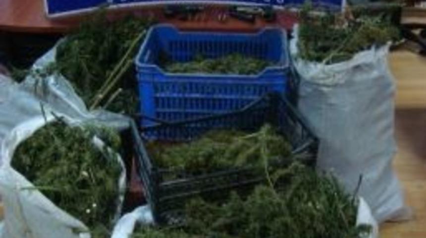 Akyazı&rsquo;da 25 Kilo Esrar Ele Ge&ccedil;irildi