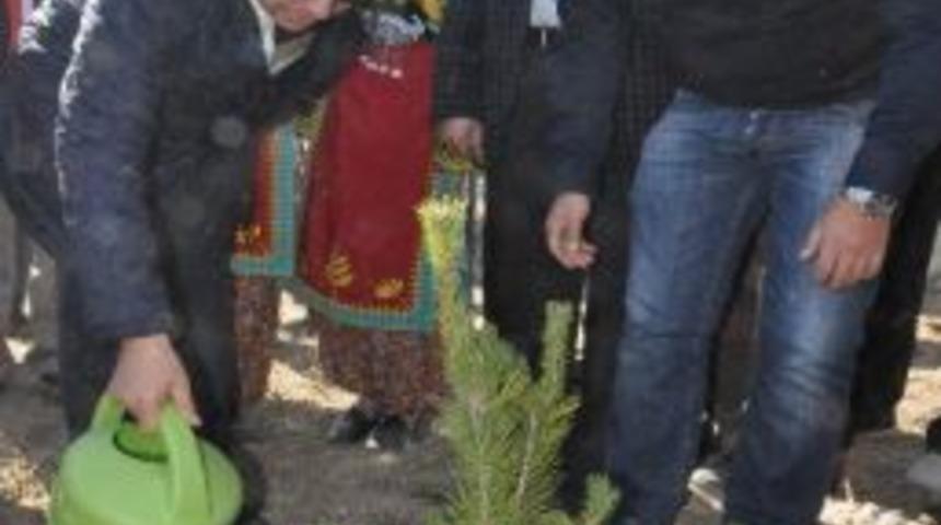 Cumhurbaşkanı G&uuml;l'e Anlamlı 'doğum G&uuml;n&uuml;' Hediyesi