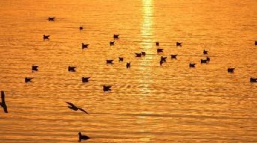 Beyşehir G&ouml;l&uuml; Milli Parkı Fotoğraflarla Tanıtılacak