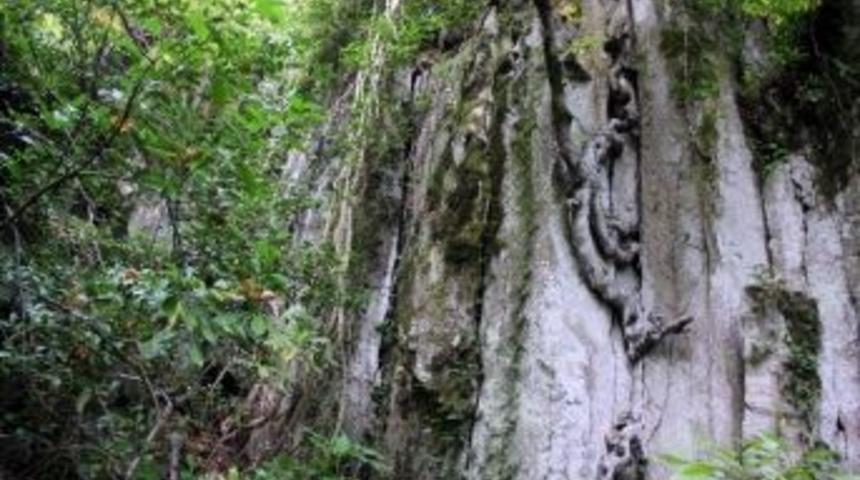 Aktaş: "lav S&uuml;tunları Turizme Kazandırılsın"