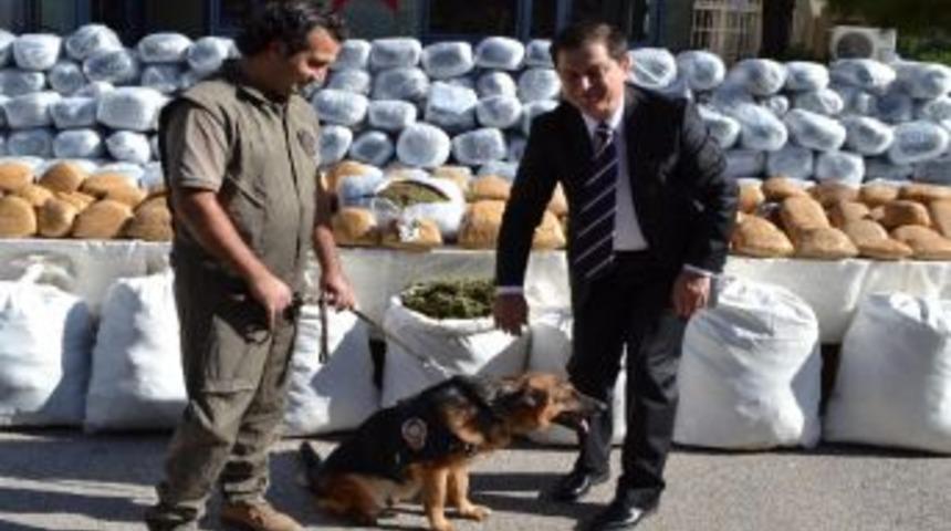 Osmaniye'de Dev Uyuşturucu Operasyonu