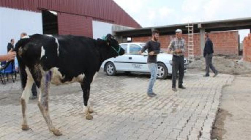 Burdur'dan Samsun'a 180 D&uuml;ve G&ouml;nderildi