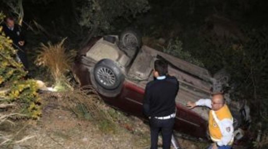 Yaban Tavşanı Yoldan &Ccedil;ıkardı