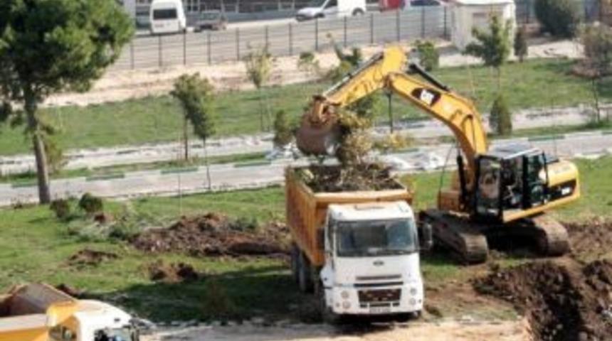 Doğanbey'de Fidan Katliamı