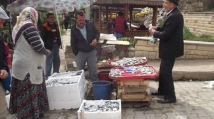 K&uuml;re &lsquo;de Bir Ton Hamsi Satıldı