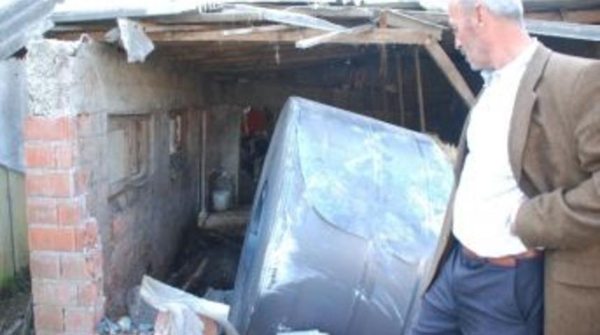 11 Tonluk Sacın Altında Kalan İnek Telef Oldu