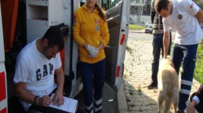 K&ouml;peği Ambulansa Alınmayan Yaralı Hastaneye Gitmedi