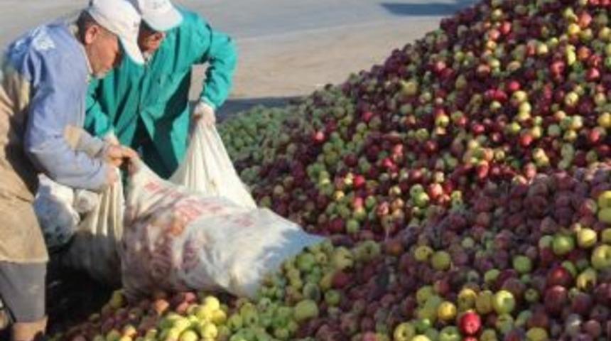 D&ouml;k&uuml;nt&uuml; Elma Alımları Devam Ediyor