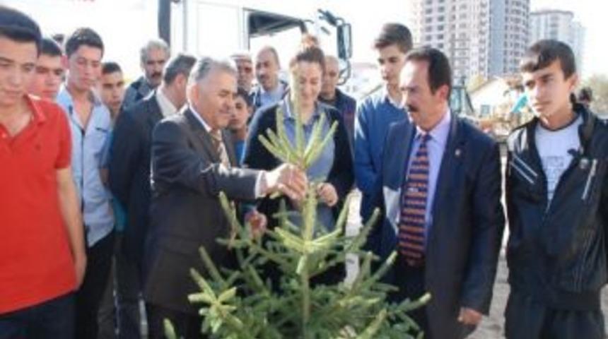 Melikgazi'de Sonbaharda Da Fidanlar Yeşerecek