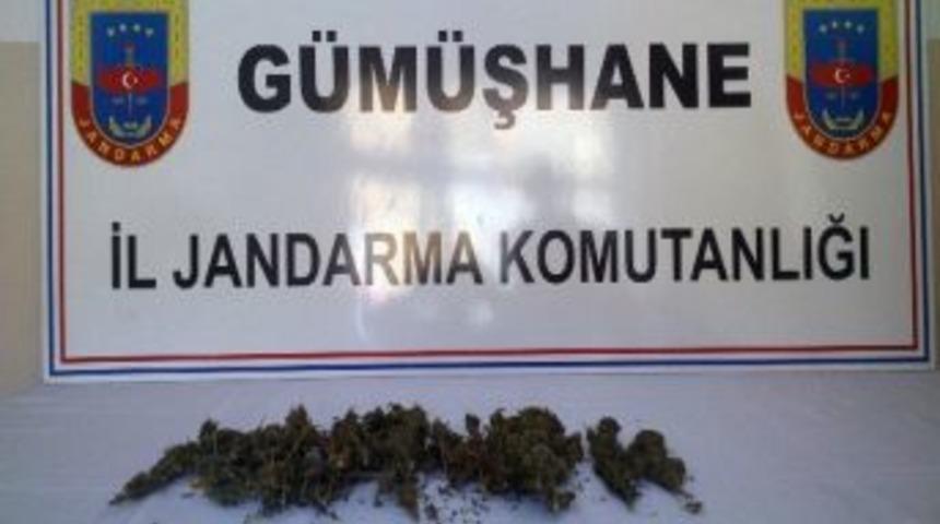 Torul&rsquo;da Kubar Esrar Yakalandı