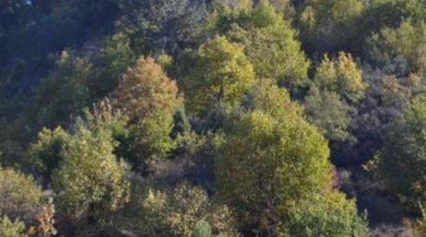 Simav&rsquo;da B&uuml;y&uuml;leyen Sonbahar