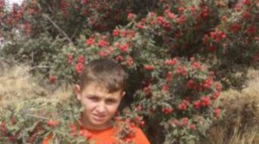 Alı&ccedil; Her Derde Deva