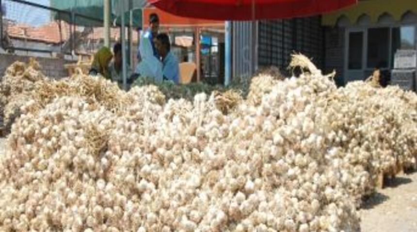 Sarımsağın Sadece Kokusu K&ouml;t&uuml;