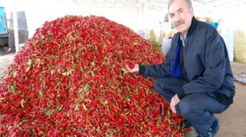 Adıyaman, Biberin Merkezi Olma Yolunda