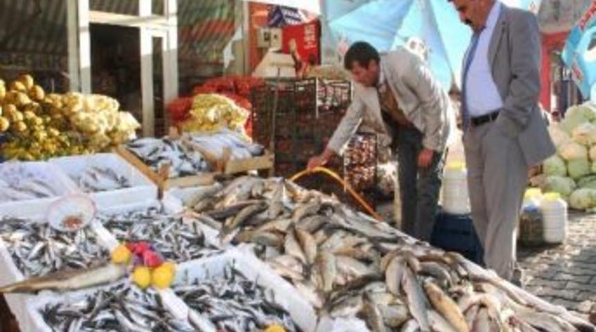 Ahlat'ta Balık Satışları Arttı