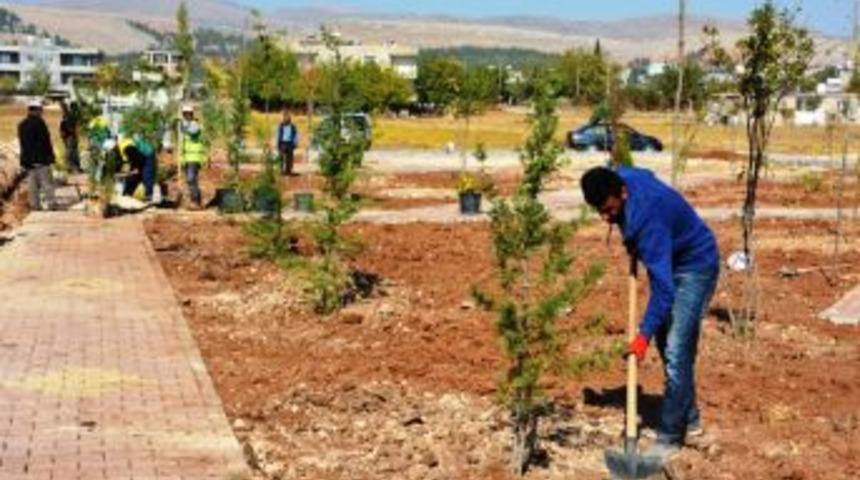 Siteler Mahallesi Parkına Kavuştu