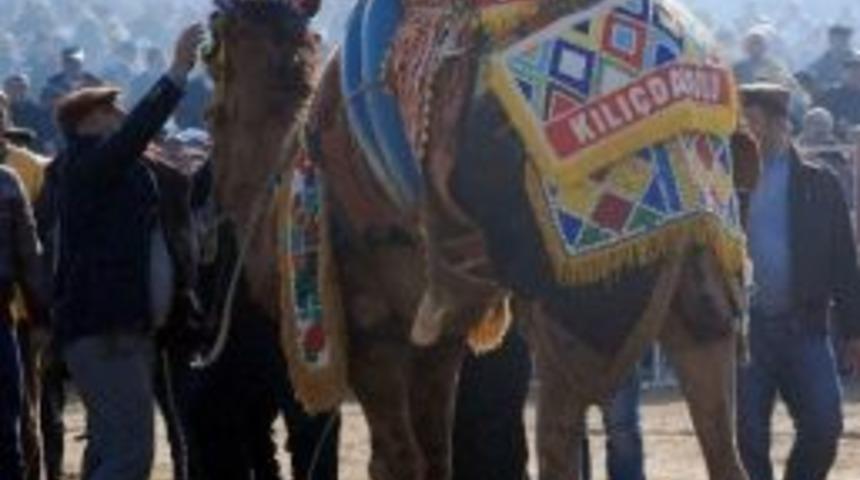 Kılı&ccedil;daroğlu Yediği Taze Otlardan Zehirlendi