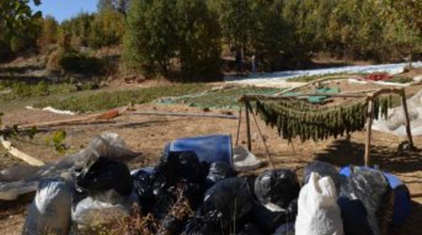 Diyarbakır&rsquo;da 1 Ton Esrar Ele Ge&ccedil;irildi