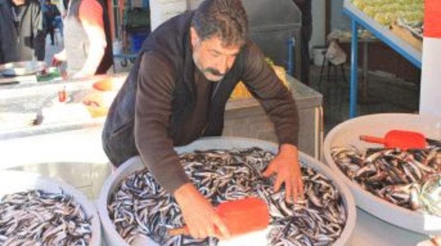 Denizdeki Bereket, Fiyatlara Yansıdı