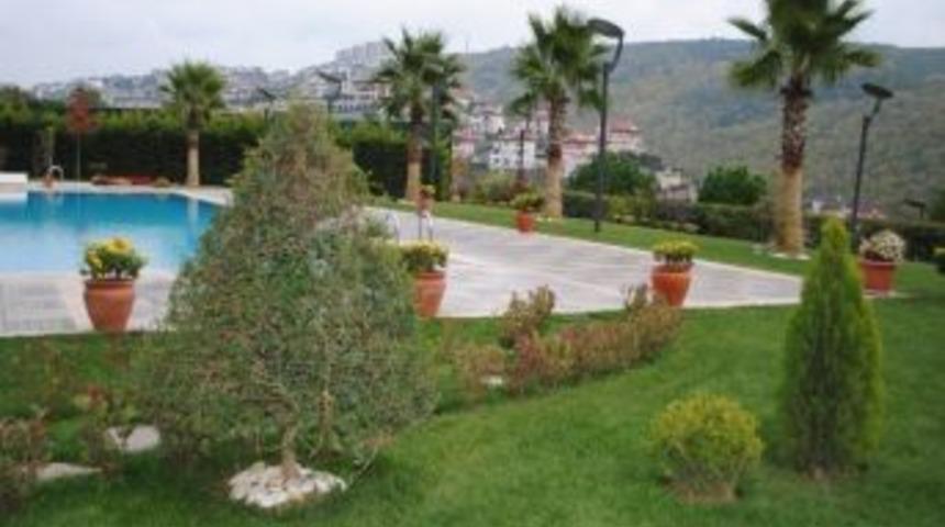 &Ccedil;&ouml;pler, Bitkileri Yeşillendirdi