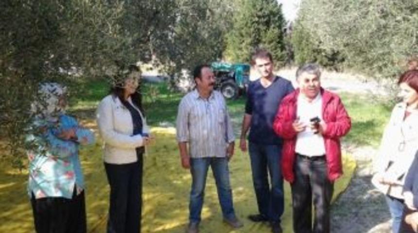 Akhisar Ziraat Odası, &Ccedil;ift&ccedil;iye Danışmalık Yapacak