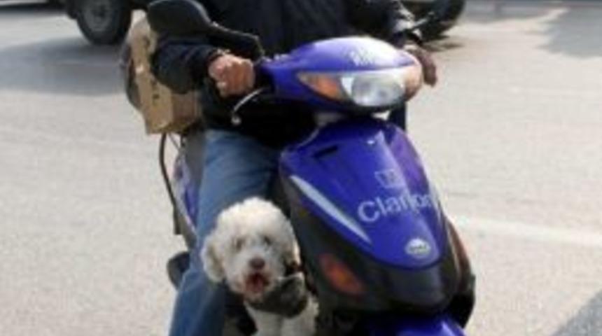 (&ouml;zel Haber) K&ouml;peğin Motosiklet Keyfi