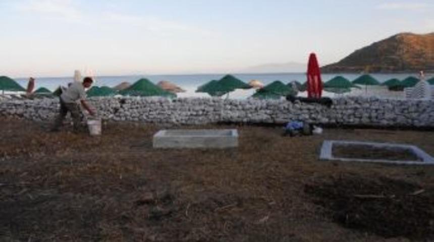 Bodrum Belediyesi Mezarlık Temizliklerini S&uuml;rd&uuml;r&uuml;yor