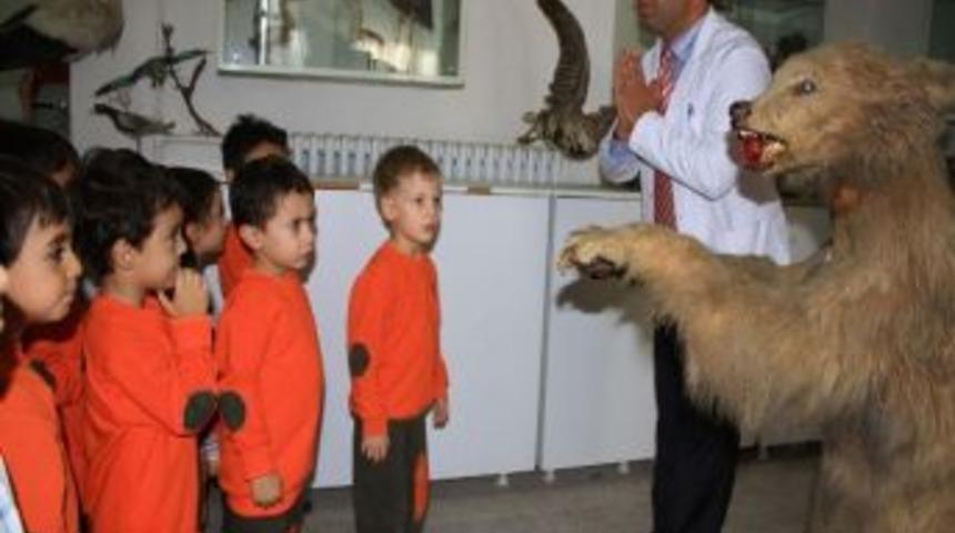 Minik &Ouml;ğrenciler Zooloji Laboratuvarını Gezdiler