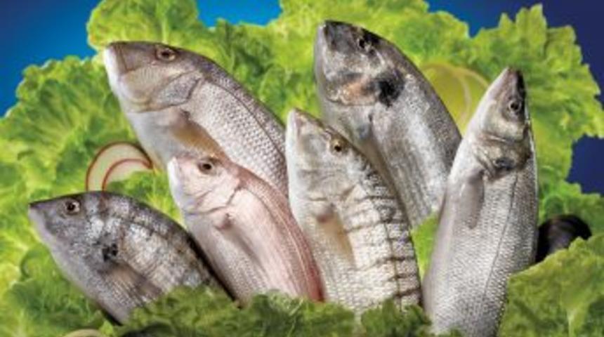 Ukrayna Sofralarını T&uuml;rk Balıkları S&uuml;sleyecek