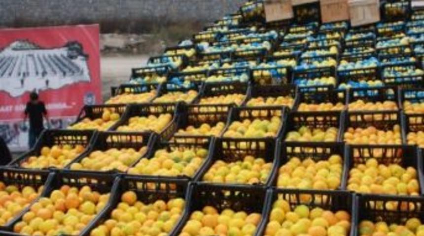 Ka&ccedil;ak Sigaralara Meyve Kamuflajı