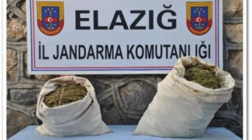 Jandarma'dan Esrar Operasyonu