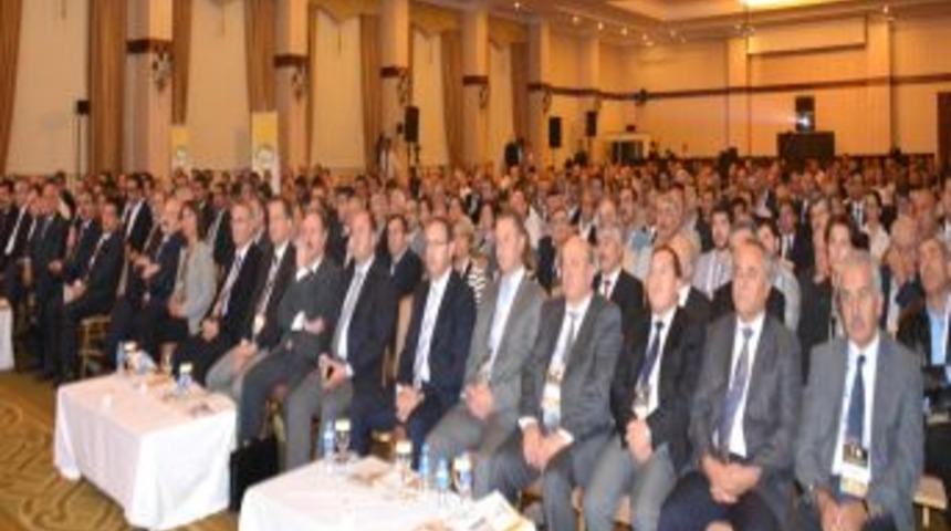 T&uuml;rkiye, D&uuml;nyanın Ikinci B&uuml;y&uuml;k Yumurta Ihracat&ccedil;ısı Oldu