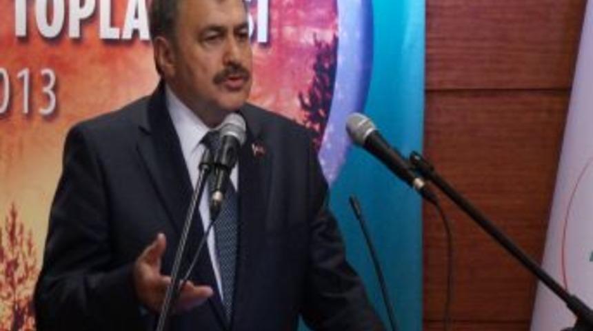 Bakan Eroğlu, Orman Yangını Eleştirilerini Rakamlarla Cevapladı