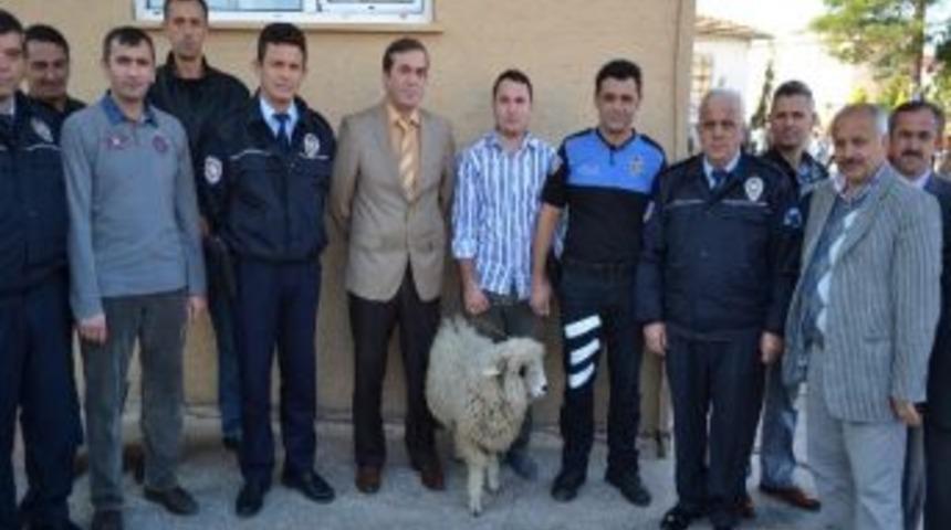 Emniyet Personeli, Kazalardan Korunmak İçin Kurban Kesti