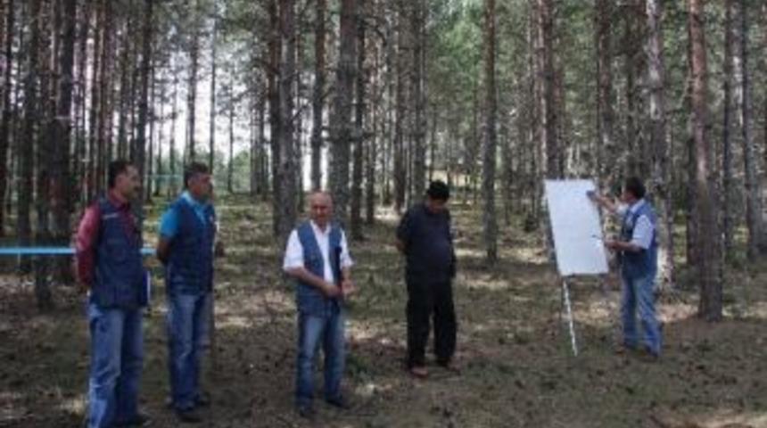 Ab&rsquo;den Kastamonu Ormanlarına 216 Bin Avro Hibe