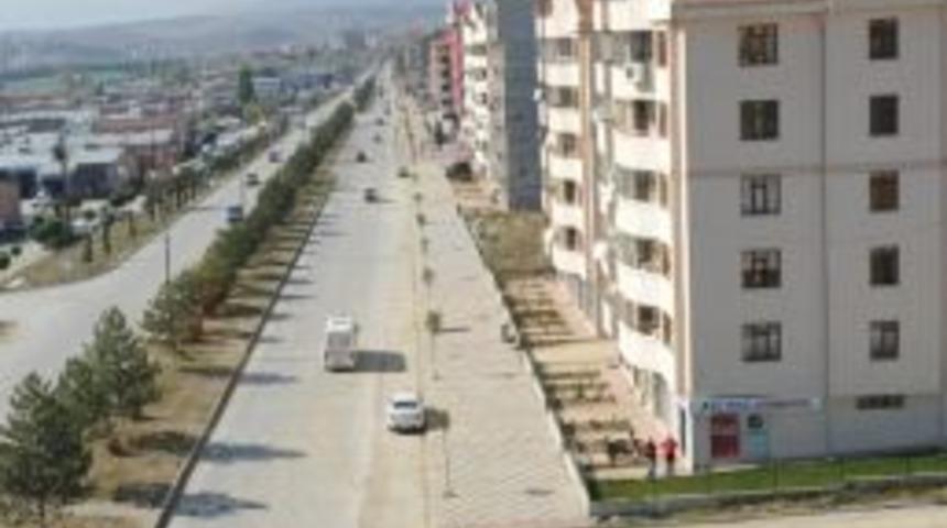 Boz&uuml;y&uuml;k Kaldırımları Ağa&ccedil;landırıldı