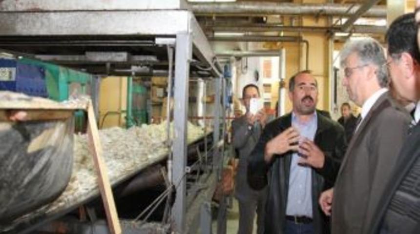İş&ccedil;iler, Vali Tepe'ye Şeker Tozu Tattırdı
