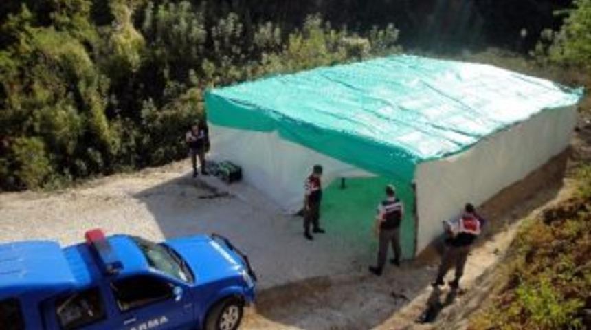 Ormanlık Alanda Kurulan &Ccedil;adıra 'tombala' Baskını
