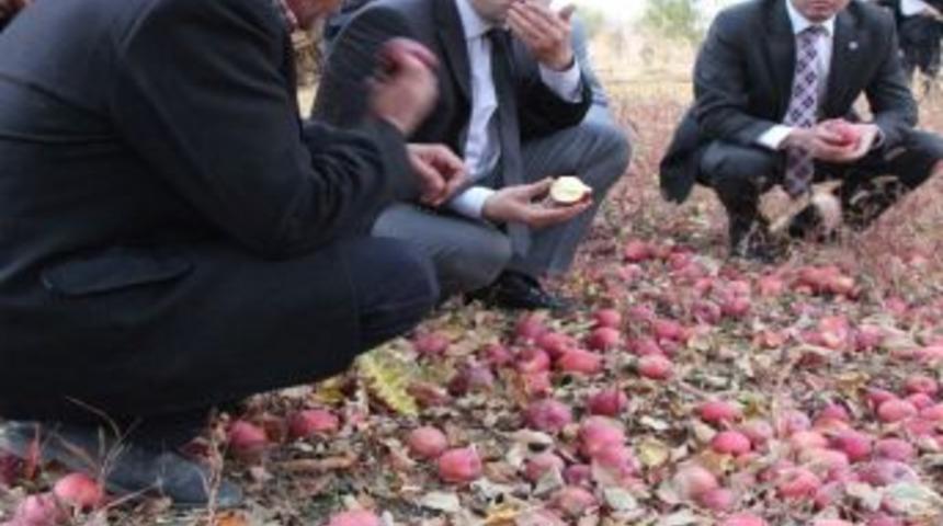 Malatya Milletvekili Veli Ağbaba, Elma &Uuml;reticilerin Sorunlarını Dinledi