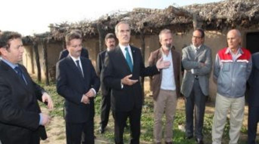 T&uuml;rkiye&acute;nin İlk Arkeopark&acute;ı Yaza Hazır