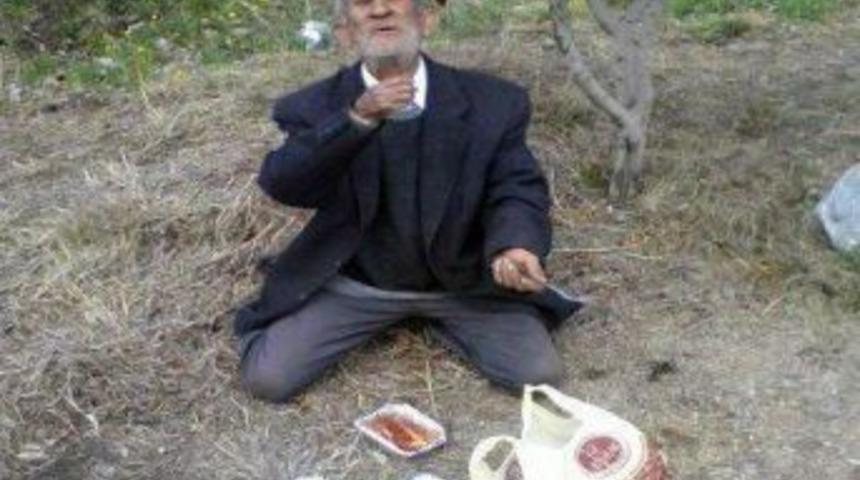 Otomobilin Çarptığı Yaşlı Adam Hayatını Kaybetti