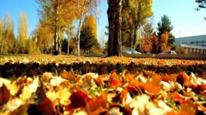Atat&uuml;rk &Uuml;niversitesinde Muhteşem Sonbahar G&ouml;r&uuml;nt&uuml;leri