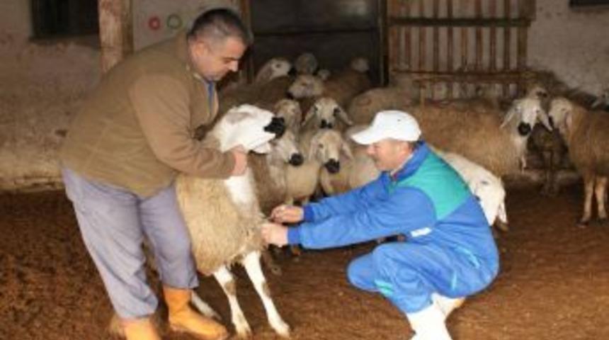 Halk Elinde Hayvan Islahı Projesi&rsquo;nin Toplantısı Yapıldı