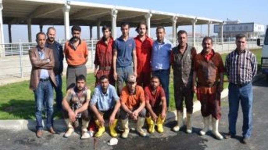 6 Milyonluk Et Ve Entegre Tesisleri İflasın Eşiğinde