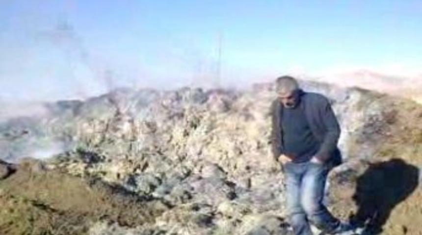Otlar Yanınca Hayvanlar A&ccedil; Kaldı