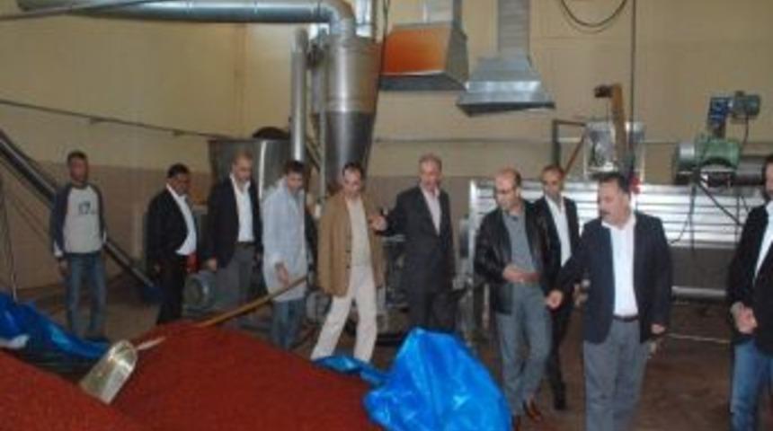 Vali Mahmut Demirtaş: "tarım Yatırımlarını İnceledi"