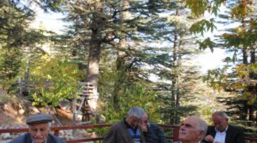 On Dokuz Ağa&ccedil; T&uuml;r&uuml;n&uuml;n Bulunduğu Pınarbaşı Ekoturizme Kazandırıldı