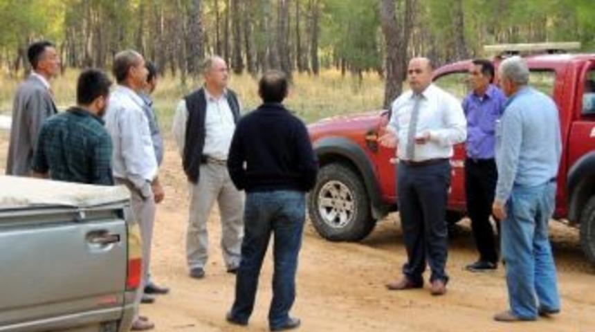 Antalya'da Ağa&ccedil; Kesimi Tepkisi