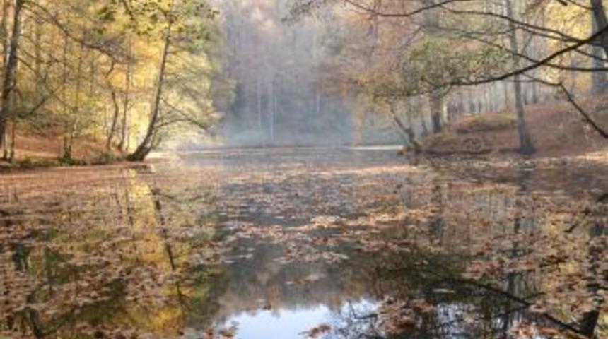 Yedi G&ouml;ller'de Renk C&uuml;mb&uuml;ş&uuml; Başladı